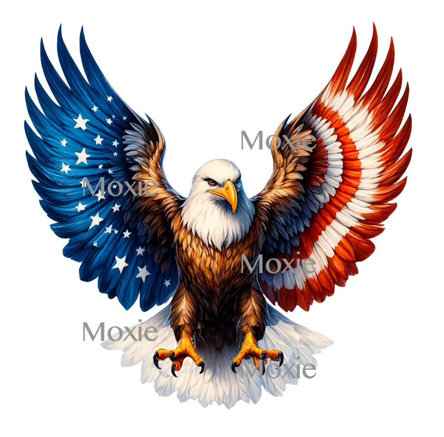 Patriotic Eagle Decal & Acrylic Blank COMBO