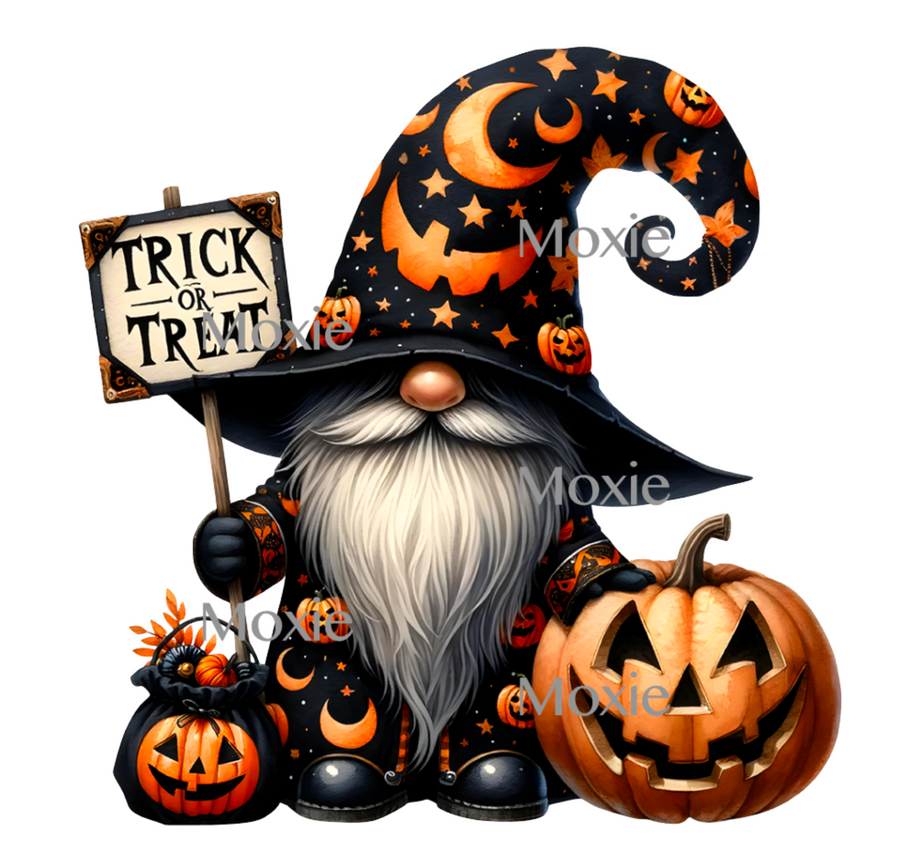 Halloween Gnome Decal & Acrylic Blank COMBO