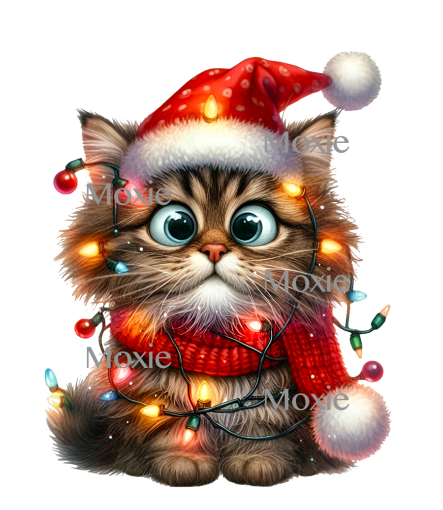 Cat Christmas Lights Decal & Acrylic Blank COMBO