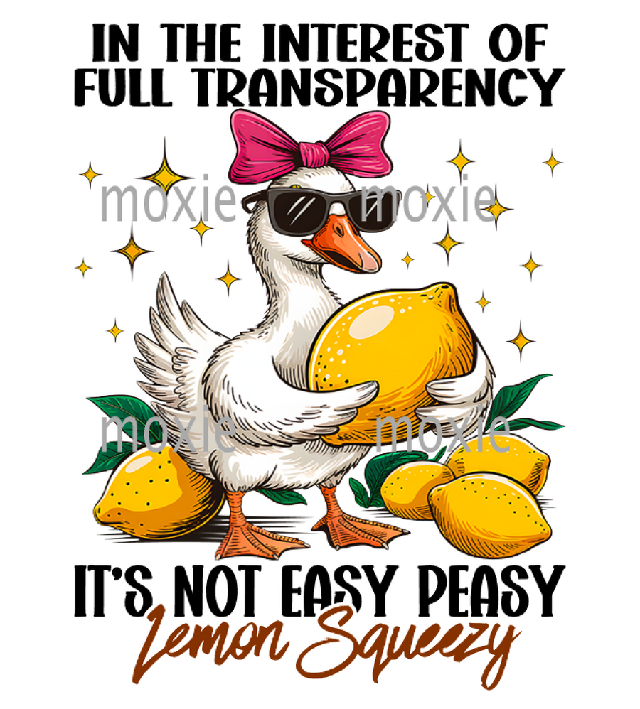 Full Transparency Easy Peasy Decal & Acrylic Blank COMBO
