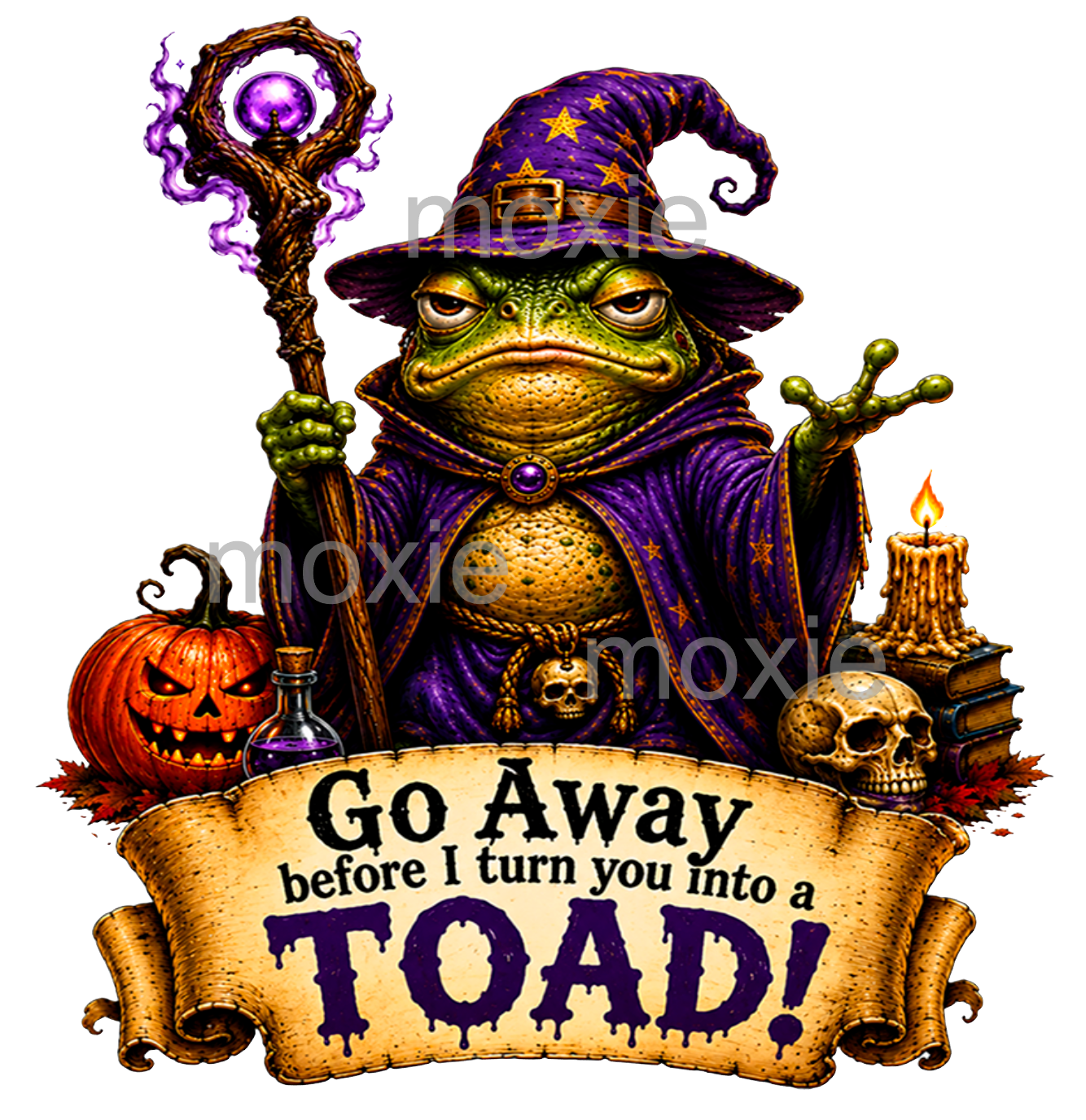 Frog Wizard Acrylic Blank &amp; Decal Set
