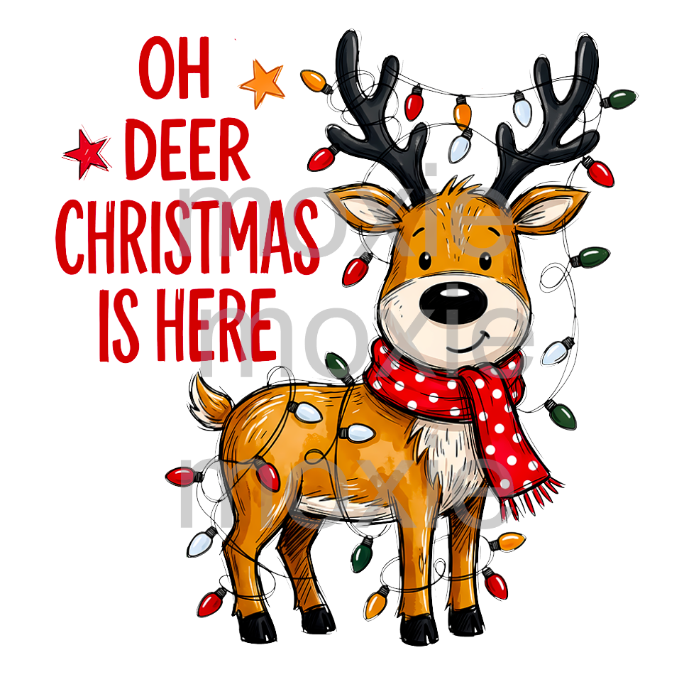Oh Deer Christmas is Here Decal &amp; Acrylic Blank COMBO
