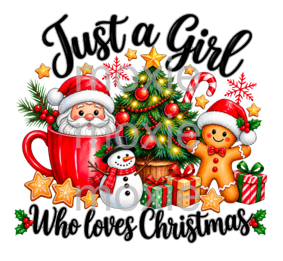 Just A Girl Who Loves Christmas Decal &amp; Acrylic Blank Set