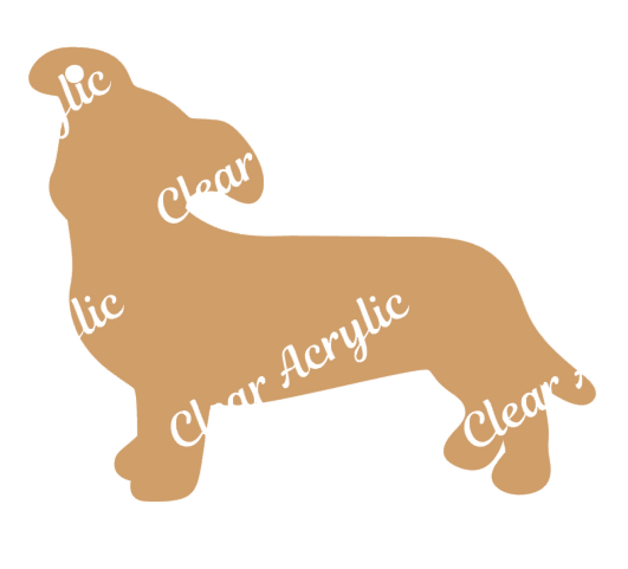 Chiweenie Dog Acrylic Blank