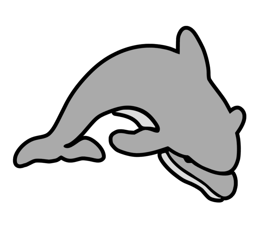 Dolphin #2 Acrylic Blank