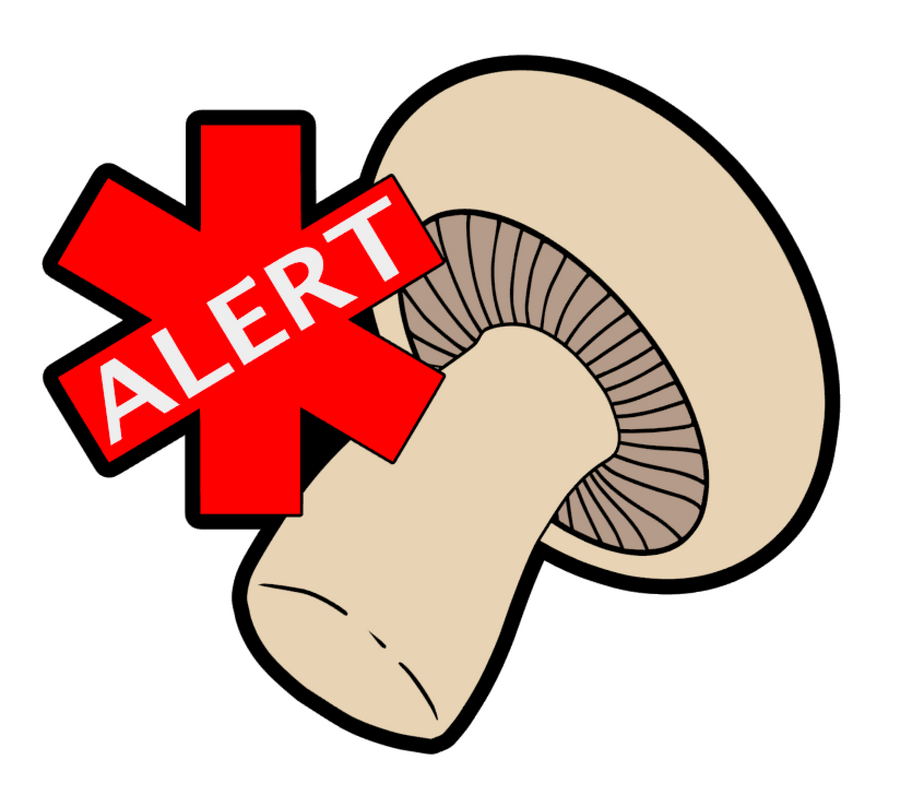 Mushroom Allergy Acrylic Blank