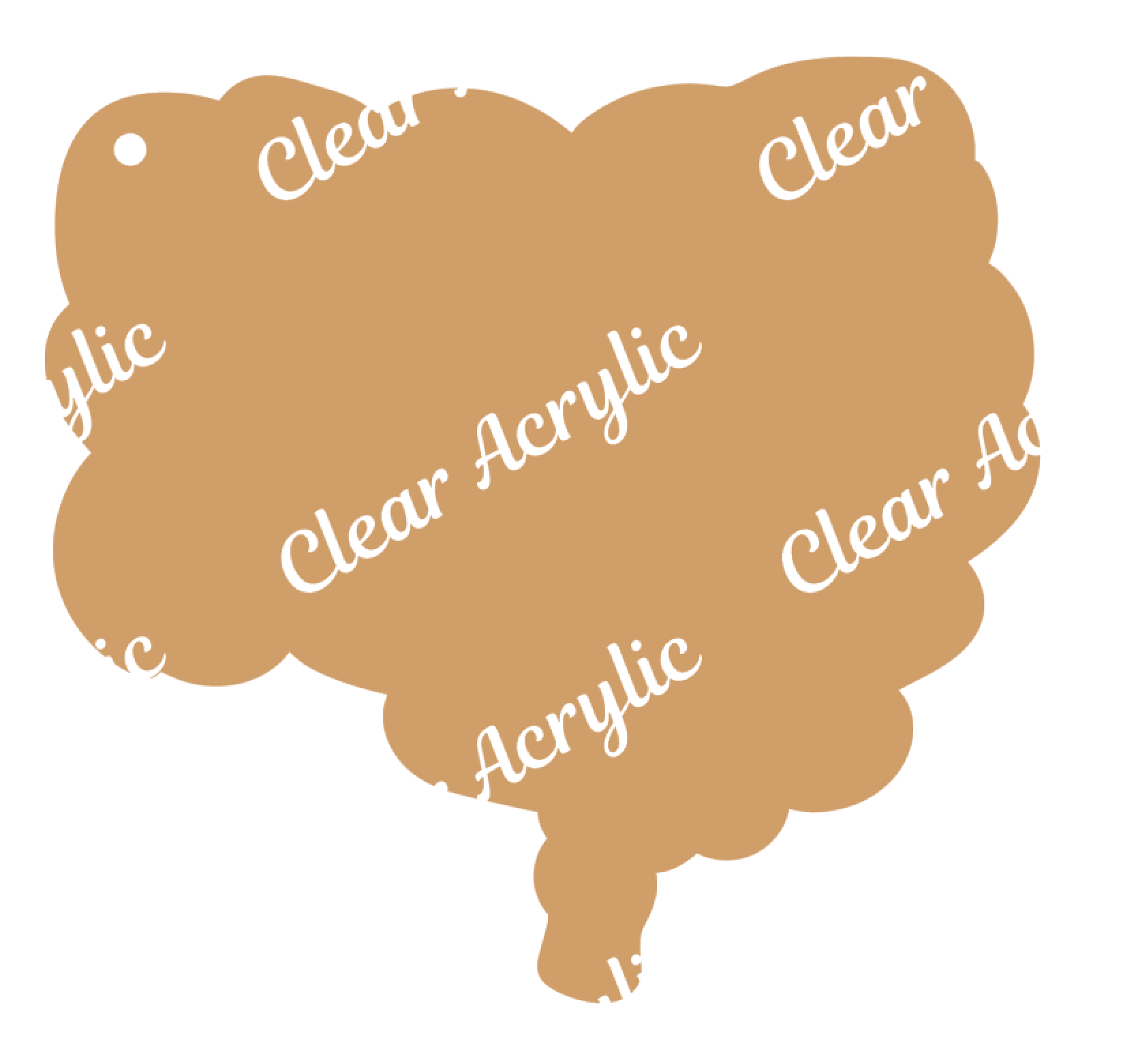 Colon Intestines Medical Acrylic Blanks