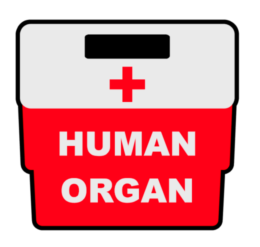 Organ Transplant Carrier Acrylic Blank
