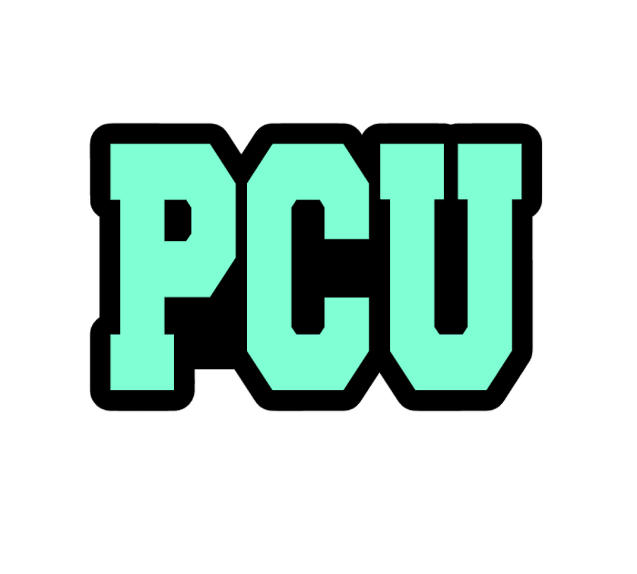 PCU Badge Reel Blank