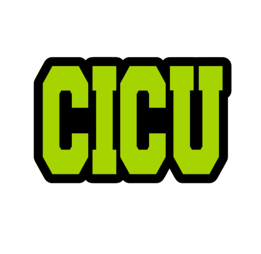 CICU Badge Reel Blank