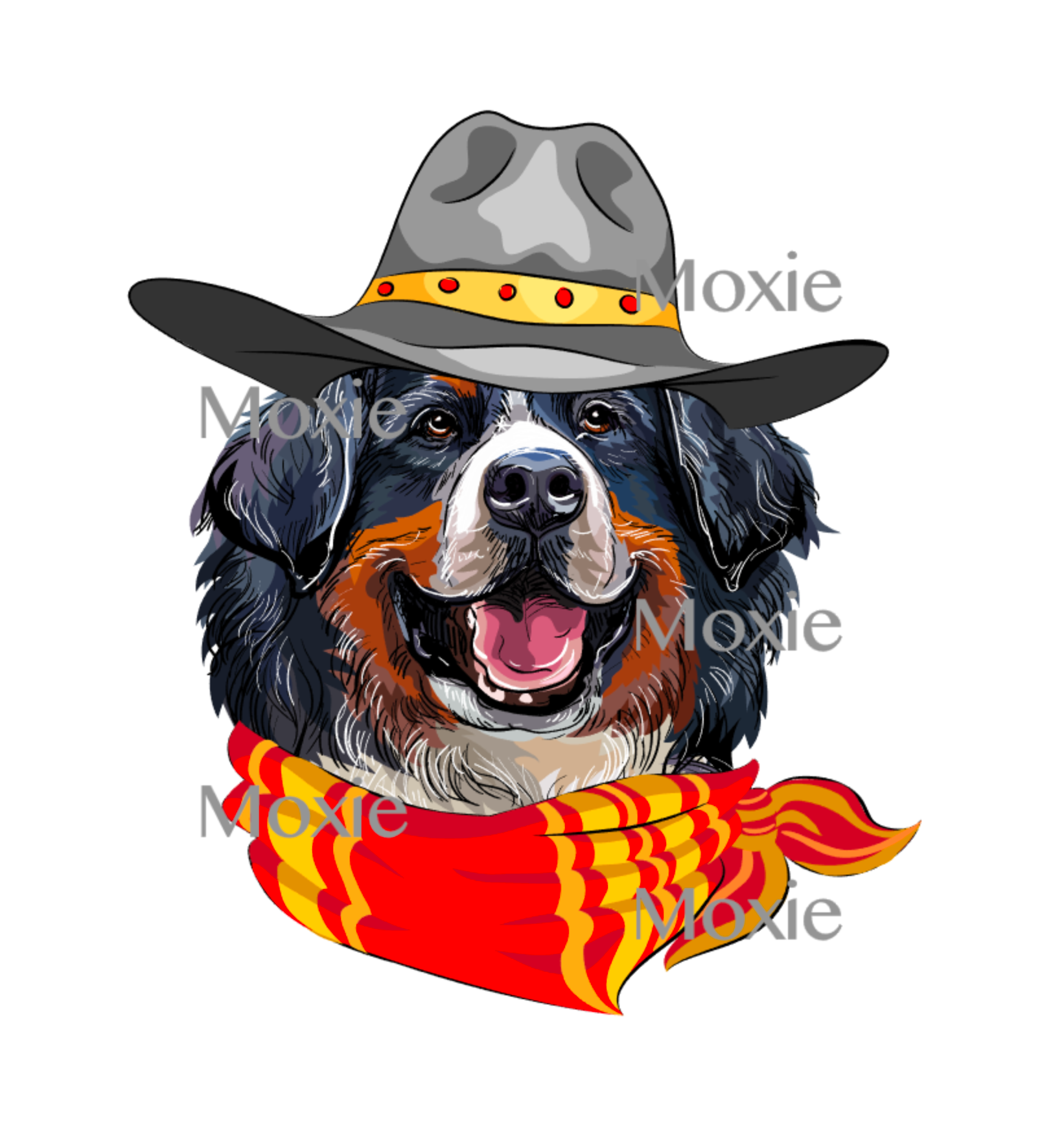 Hipster Bernese Mountain Decal &amp; Acrylic Blank COMBO