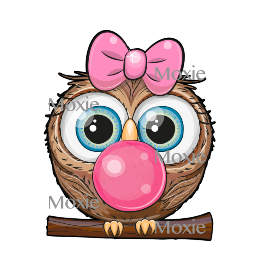 Owl Bubblegum Decal & Acrylic Blank COMBO