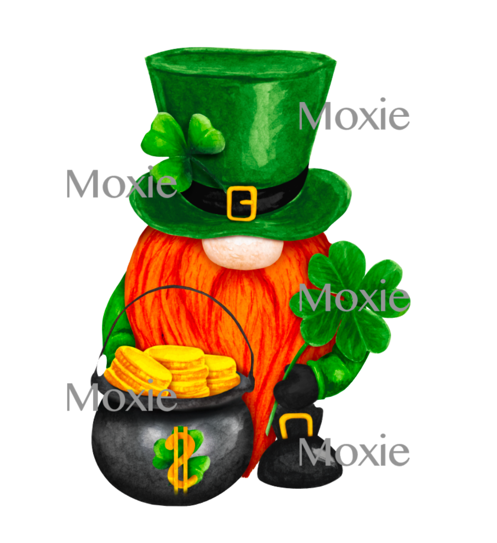 St Patricks Gnome Decal &amp; Acrylic Blank COMBO