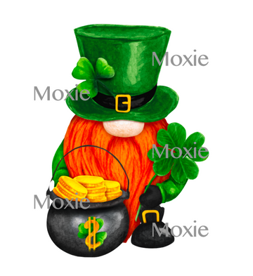 St Patricks Gnome Decal & Acrylic Blank COMBO