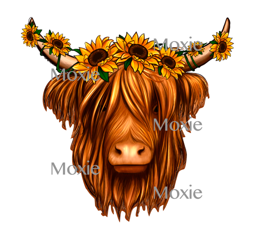 Highland Cow Sunflowers Decal & Acrylic Blank COMBO