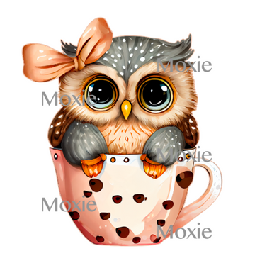 Baby Owl Girl Decal & Acrylic Blank COMBO