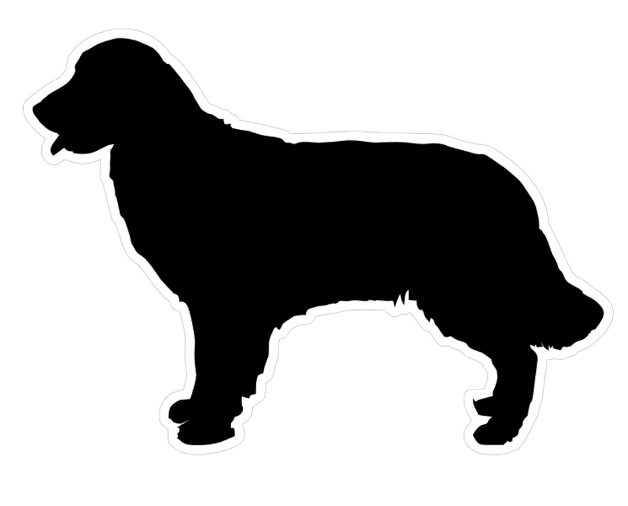 Golden Retriever Dog Profile Acrylic Blank