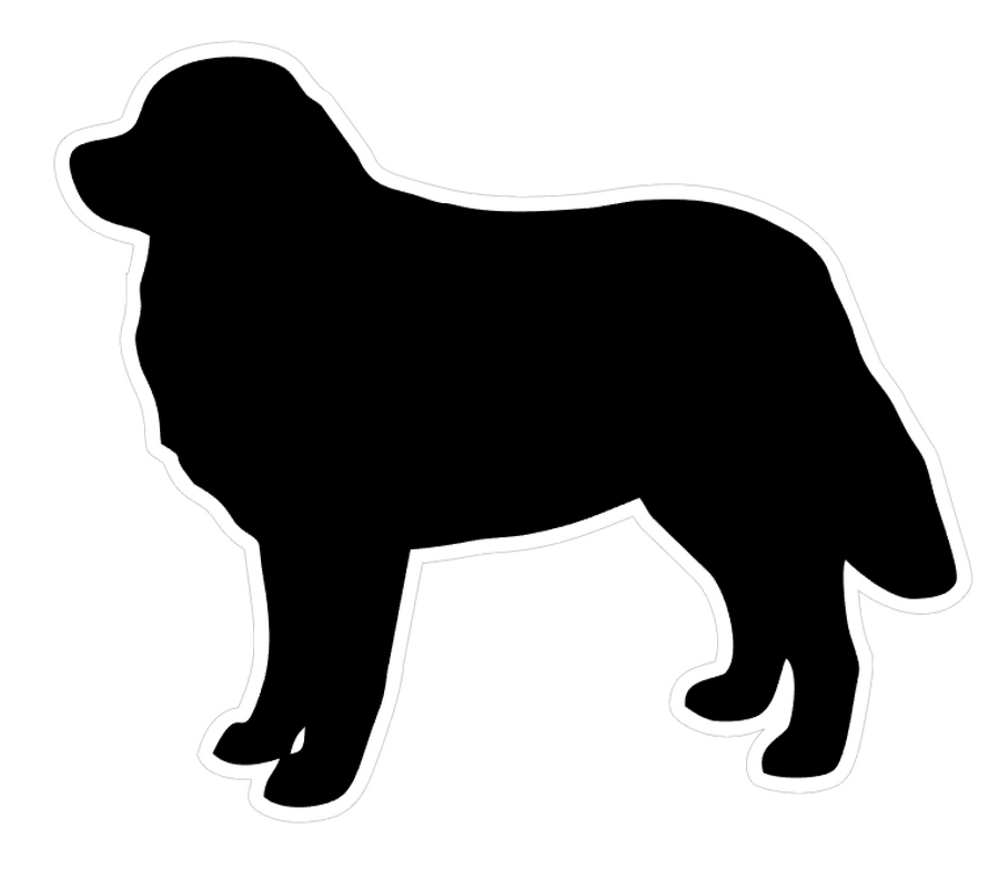 Bernese Mountain Dog Profile Acrylic Blank