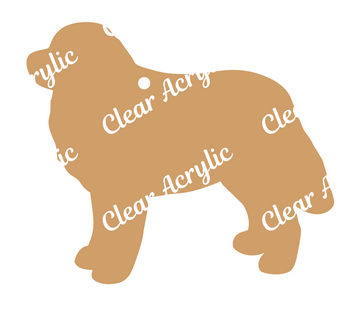 Bernese Mountain Dog Profile Acrylic Blank