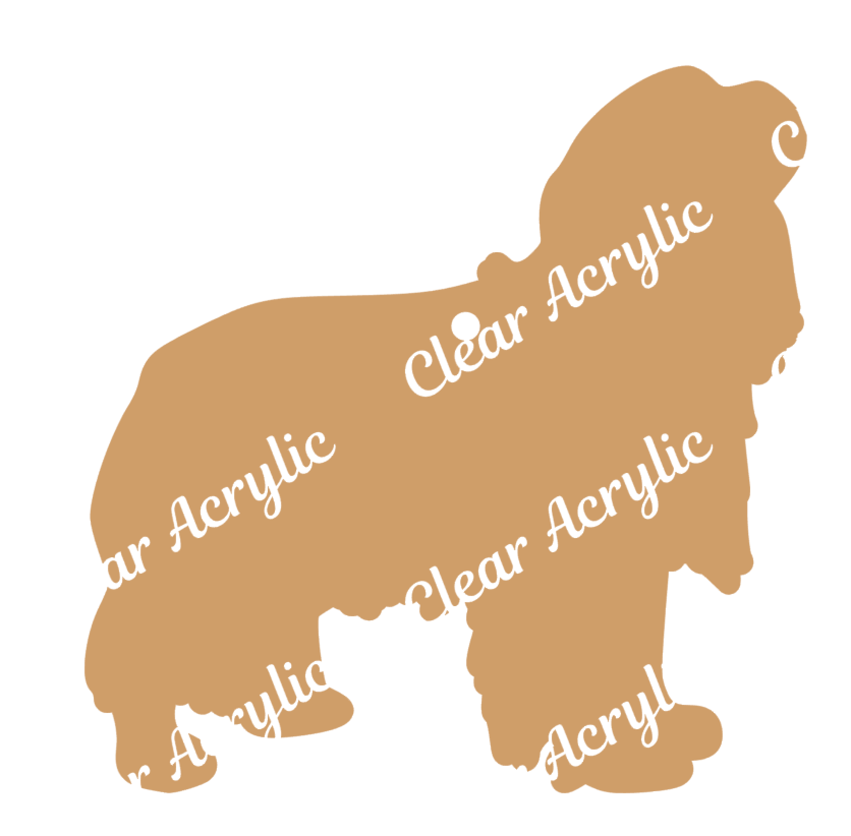 Cavalier King Charles Acrylic Blank for keychains