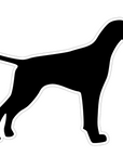 English Pointer Profile Acrylic Blank