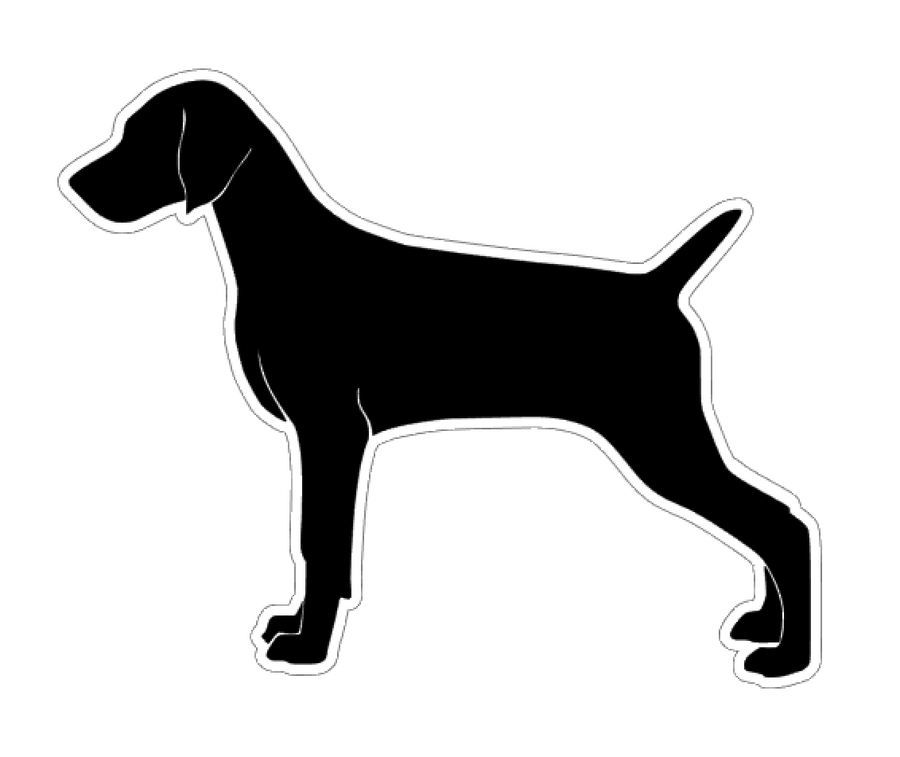 Weimaraner Dog Acrylic Blank