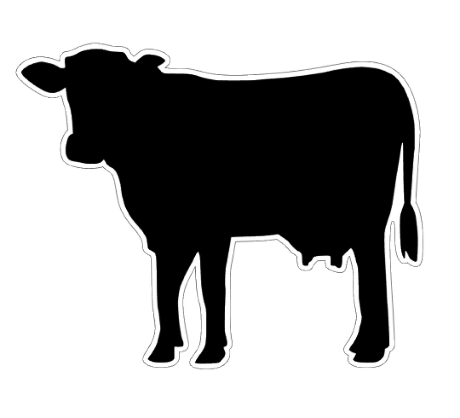 Cow Profile Acrylic Blank