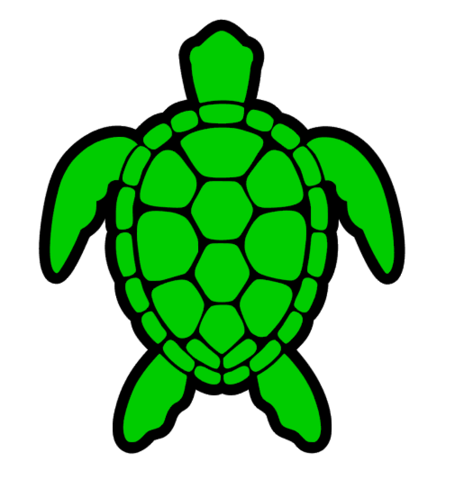 Sea Turtle Acrylic Blank