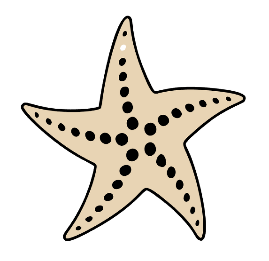 Starfish #2 Acrylic Blank