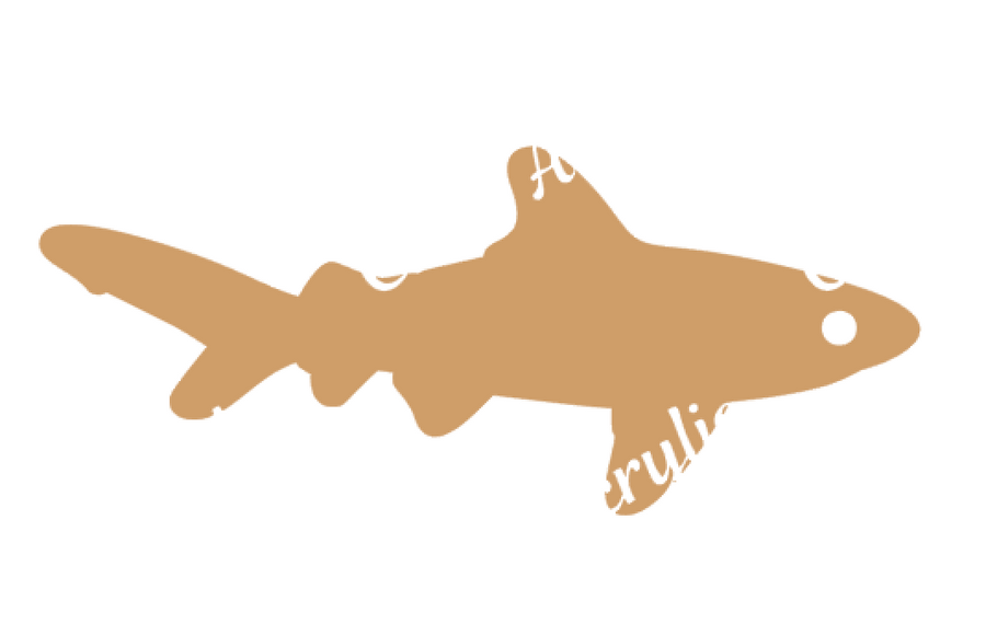 Shark Acrylic Blank