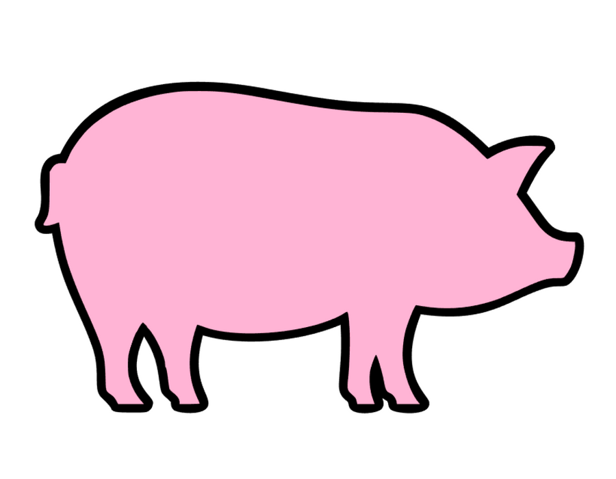 Pig Hog Acrylic Blank