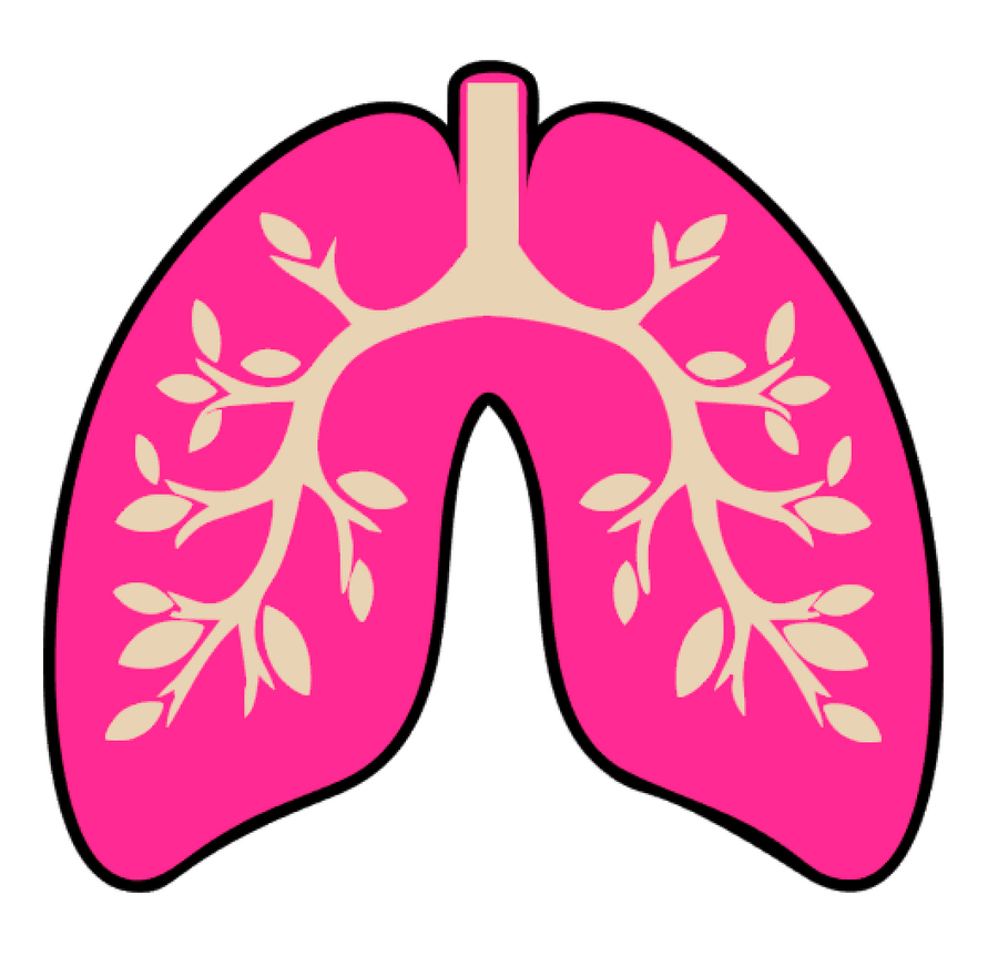 Lungs Acrylic Blank