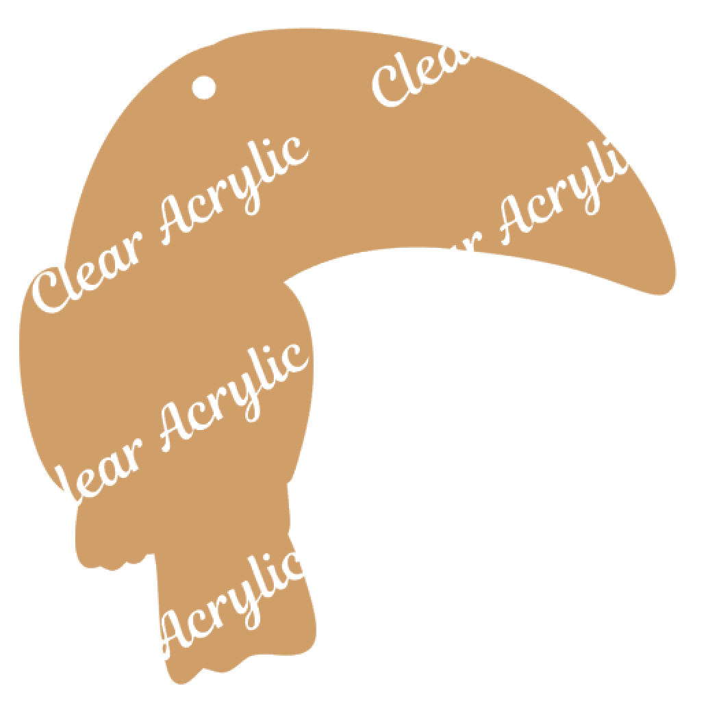 Toucan Parrot Acrylic Blanks for Crafting