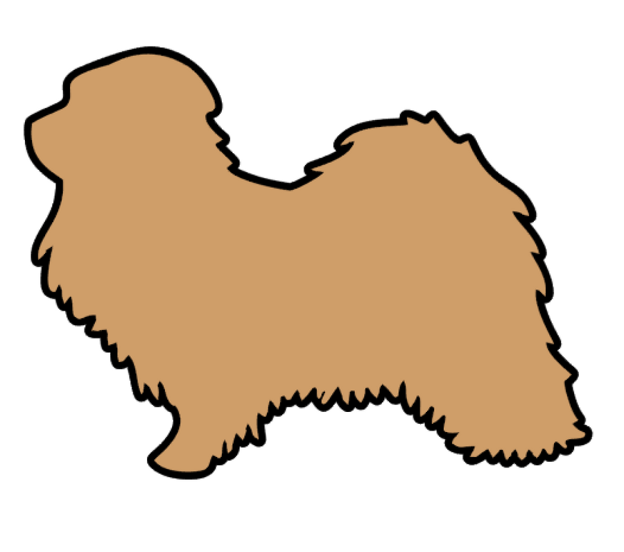 Havanese Dog Acrylic Blank