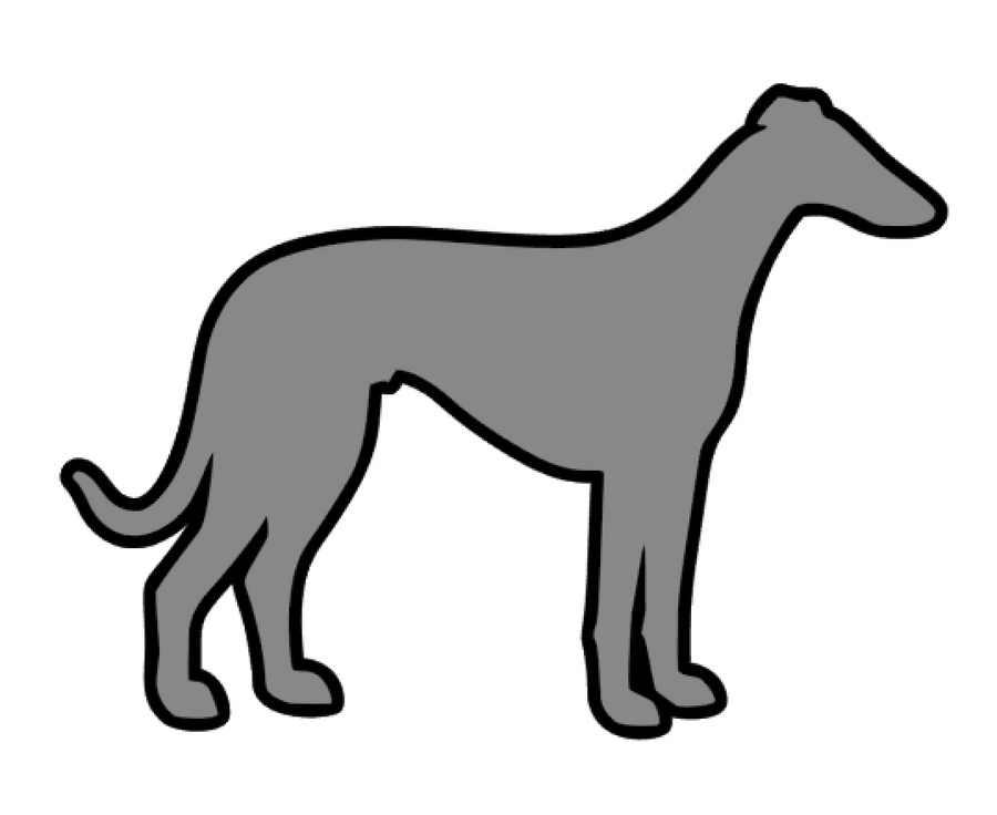 Whippet Dog Acrylic Blank