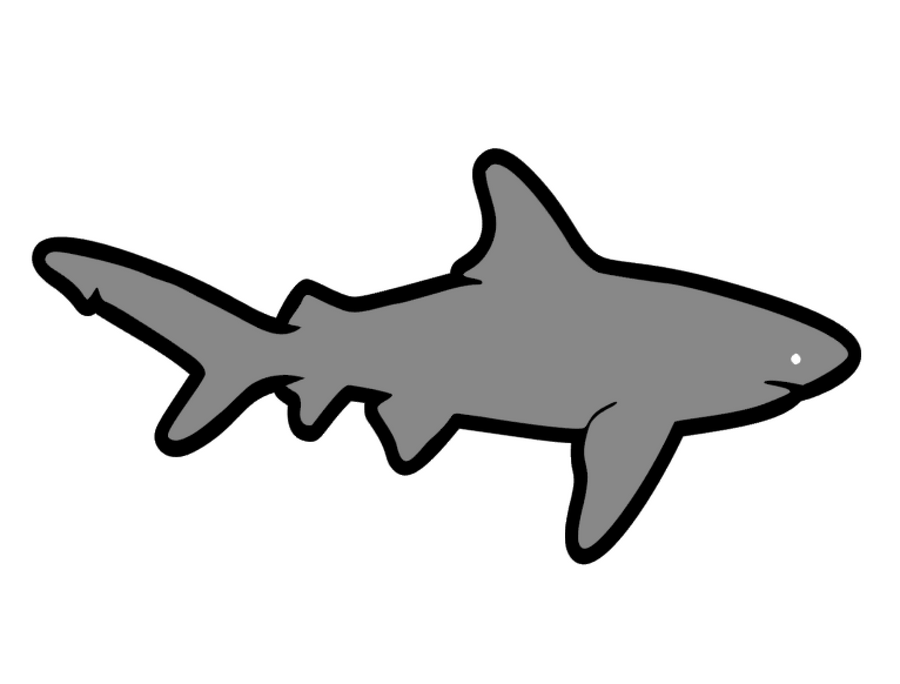 Shark #2 Acrylic Blank