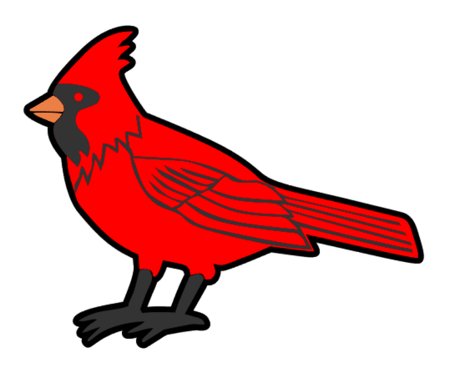 Cardinal Bird Acrylic Blank