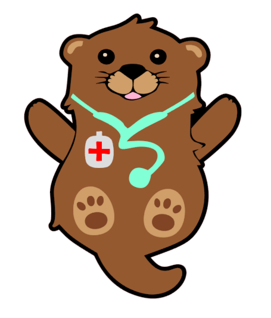 Otter Doctor Acrylic Blank