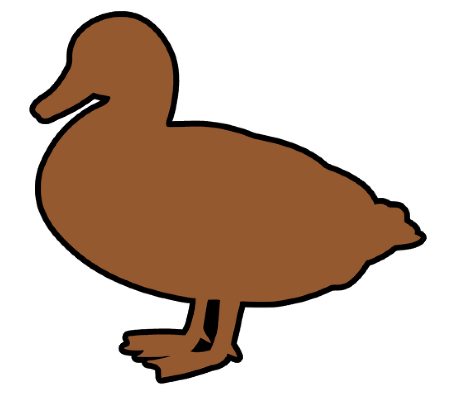Mallard Duck Acrylic Blank