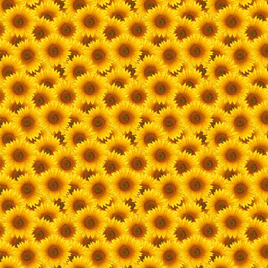 Sunflower Petals Vinyl