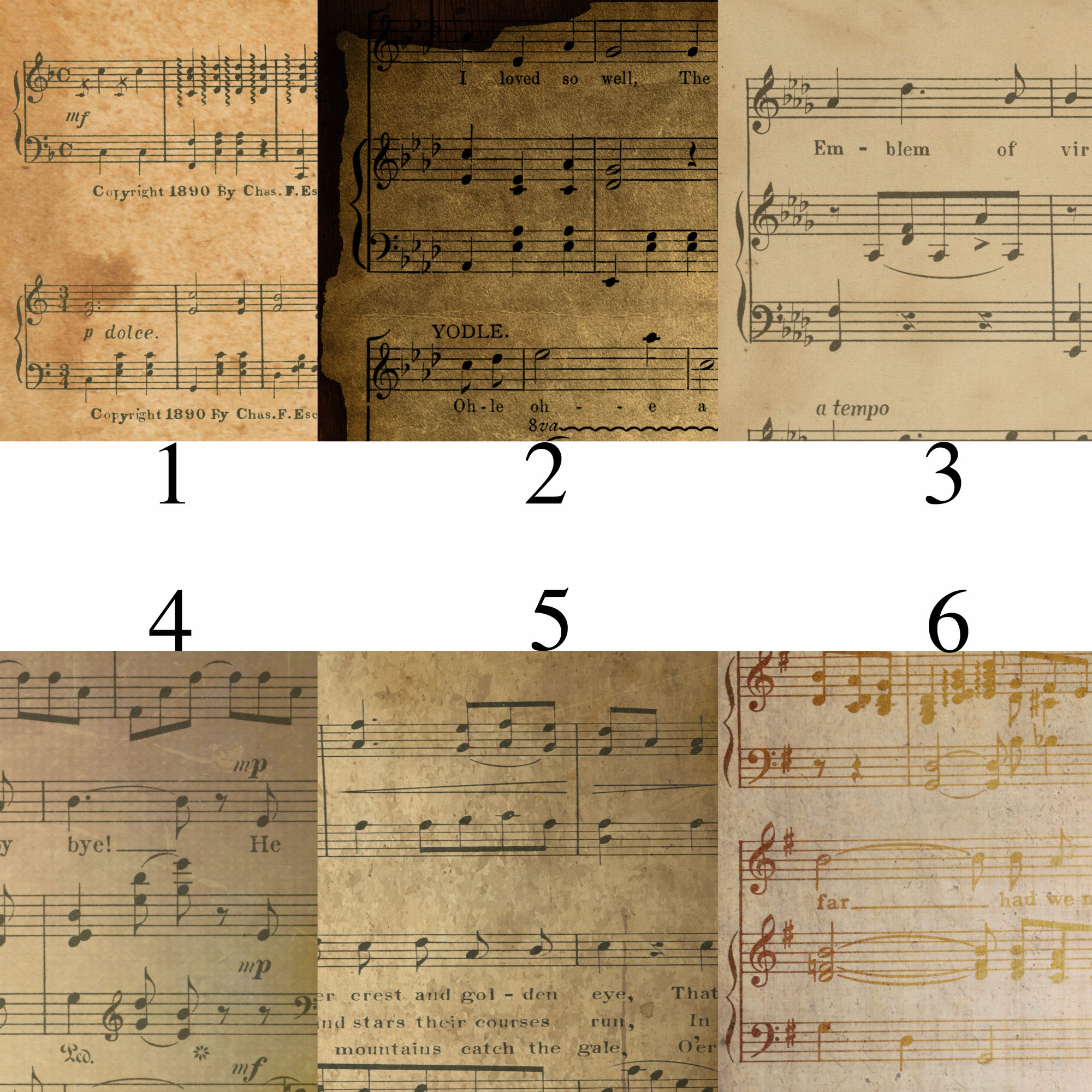 Vintage Sheet Music Vinyl